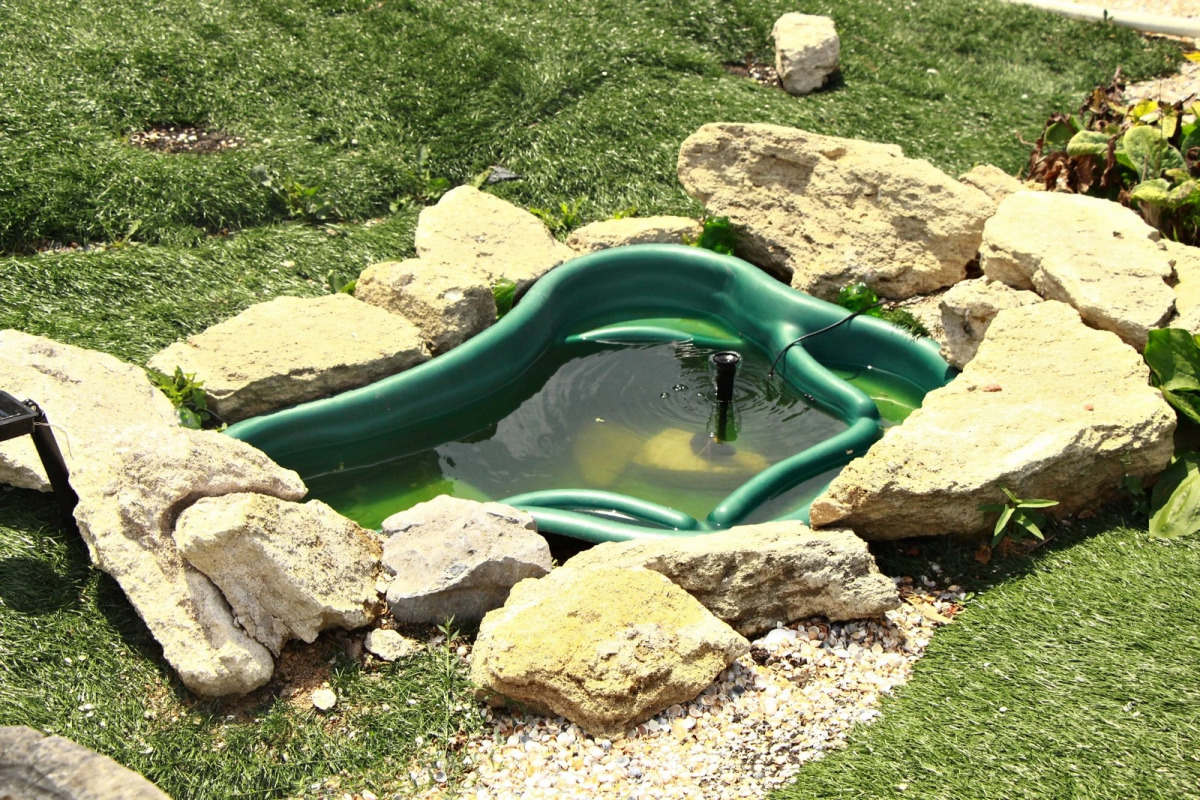 База отдыха Роза ветров