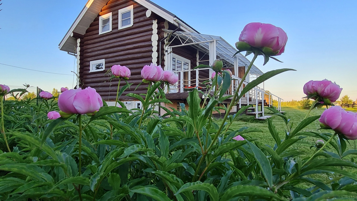 Гостевой дом Лесицкое