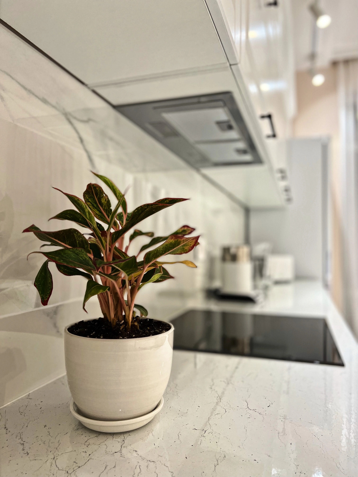 Апартаменты Quiet