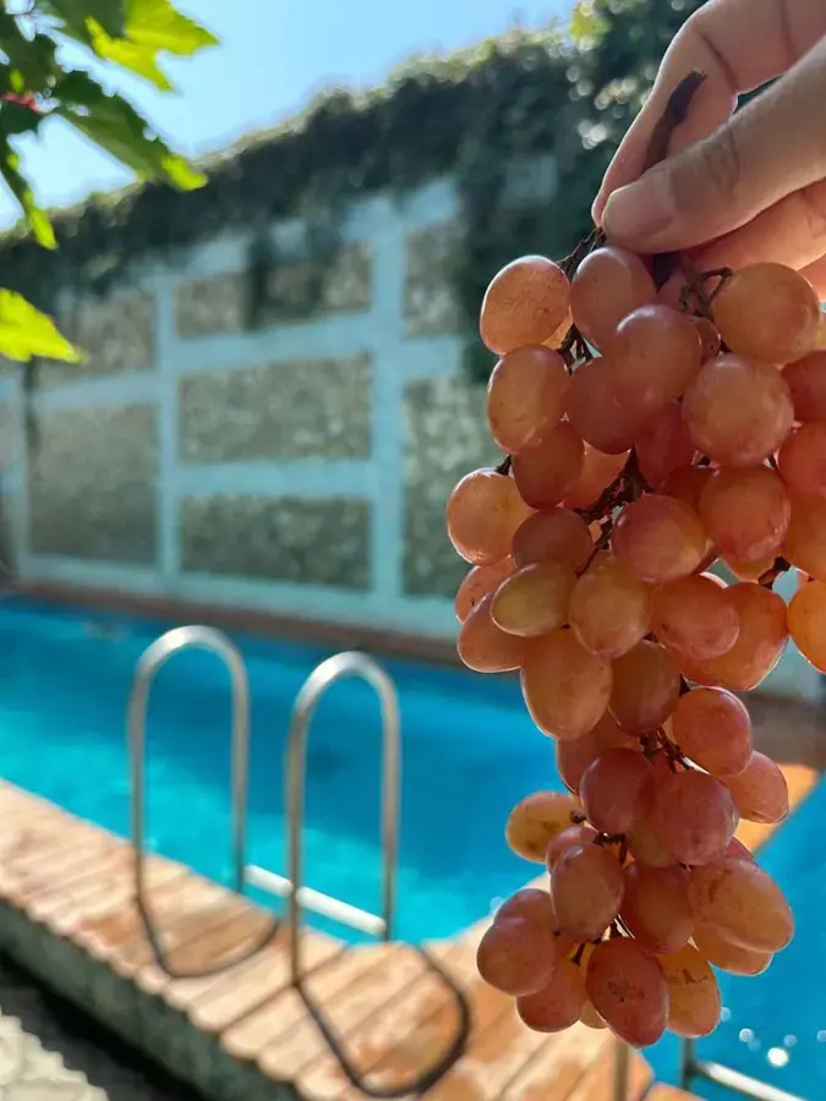 Гостевой дом Ирина-Gold