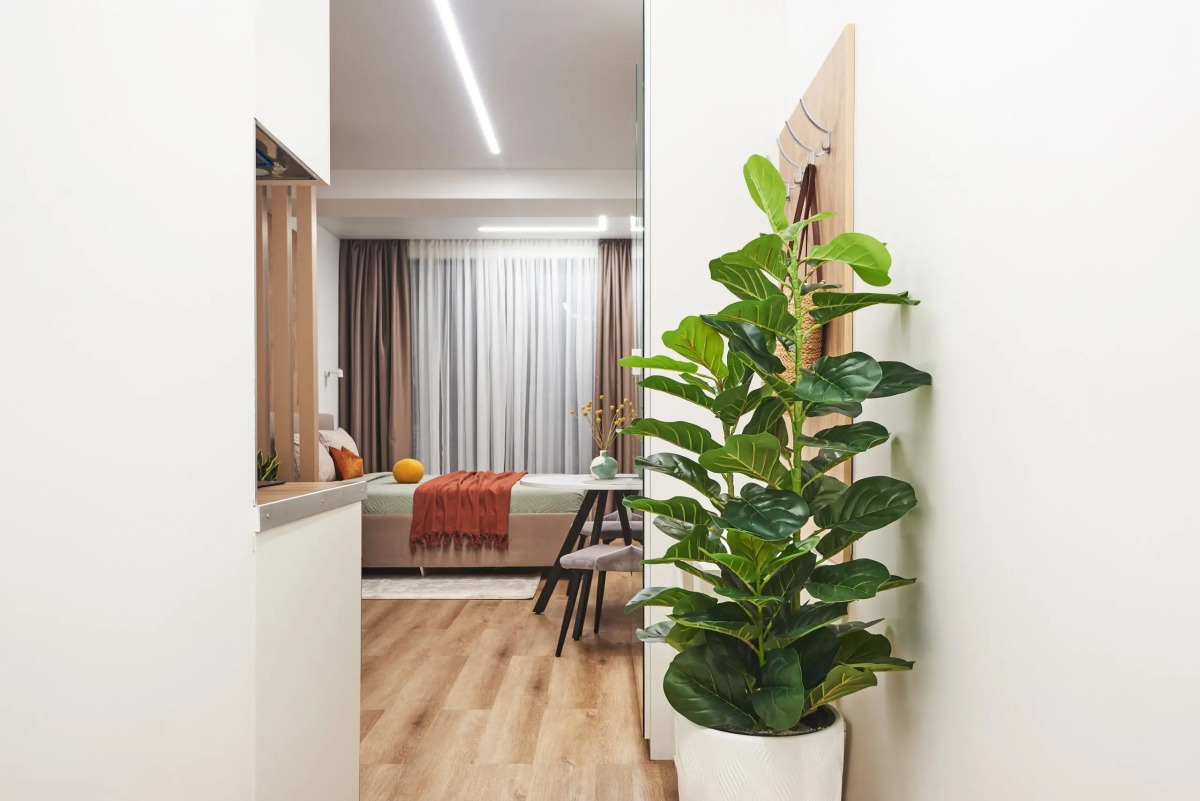 Апартаменты  7 и 22 Депутатская 10Г 1