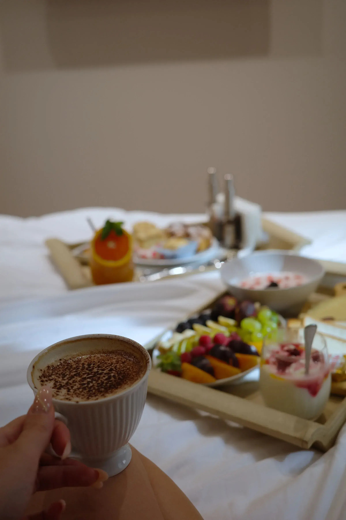 Отель Metropol Club House