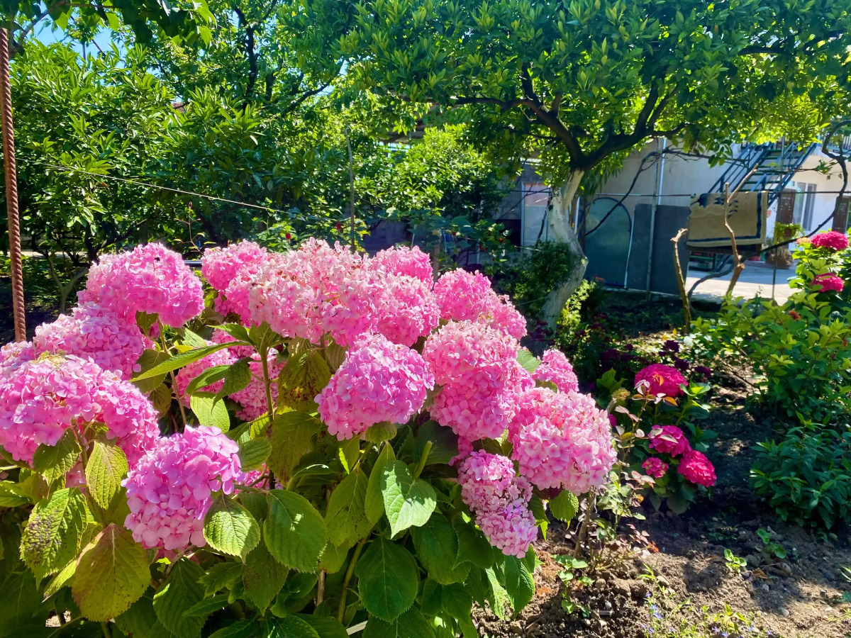 Гостевой дом U Norika i Susanny