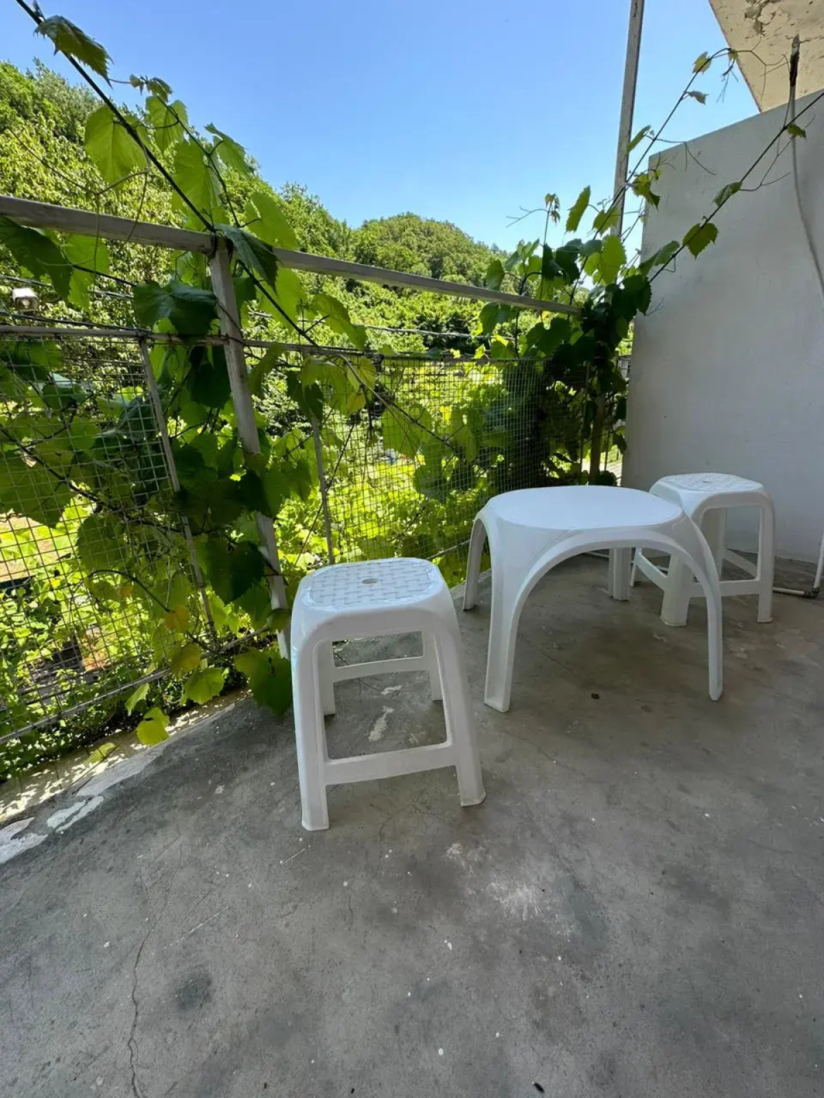 Гостевой дом Пальма Туапсе