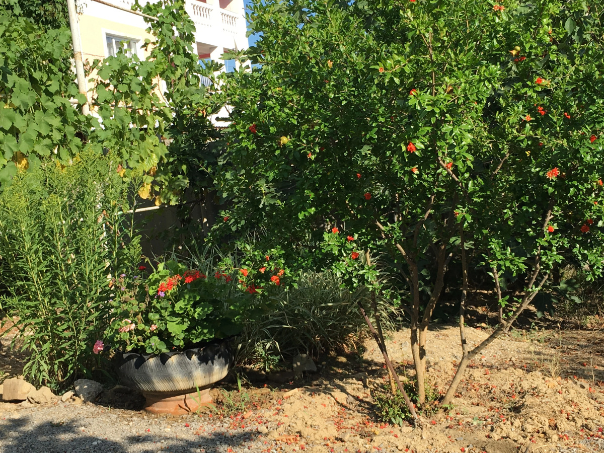 Частный дом Домик без докучливых хозяев