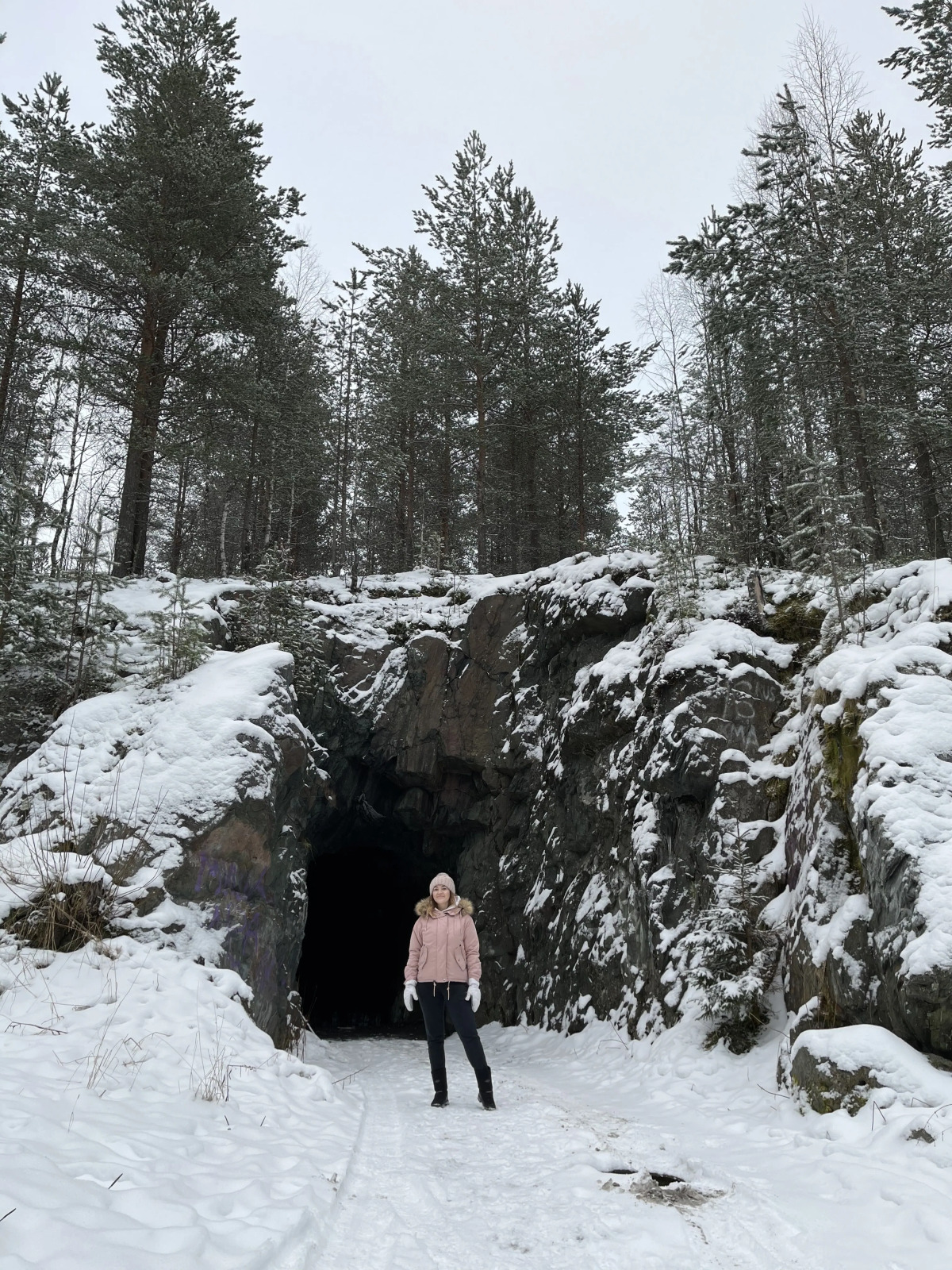 Дом ВИЛЛА в КАРЕЛИИ 2