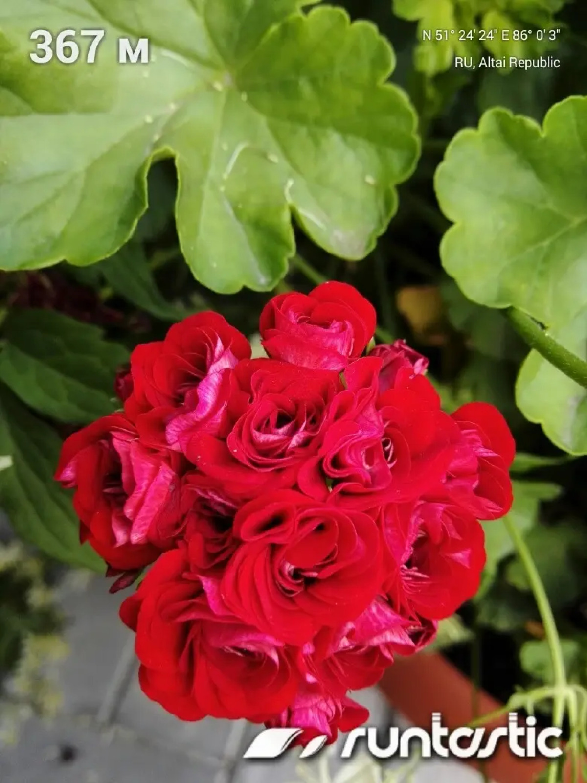 Гостевой Дом Ивановский