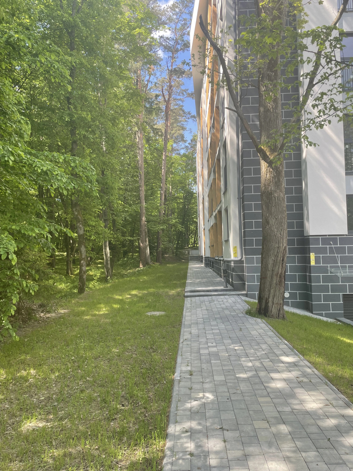 Апартаменты в сосновом лесу