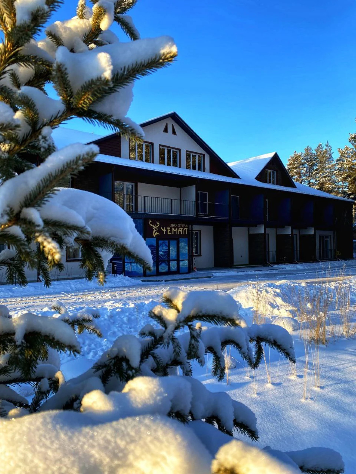 Отель Эко-отель "Чемал"