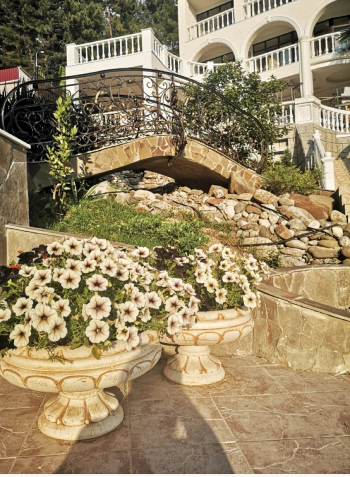 Отель Парк-отель Rivas