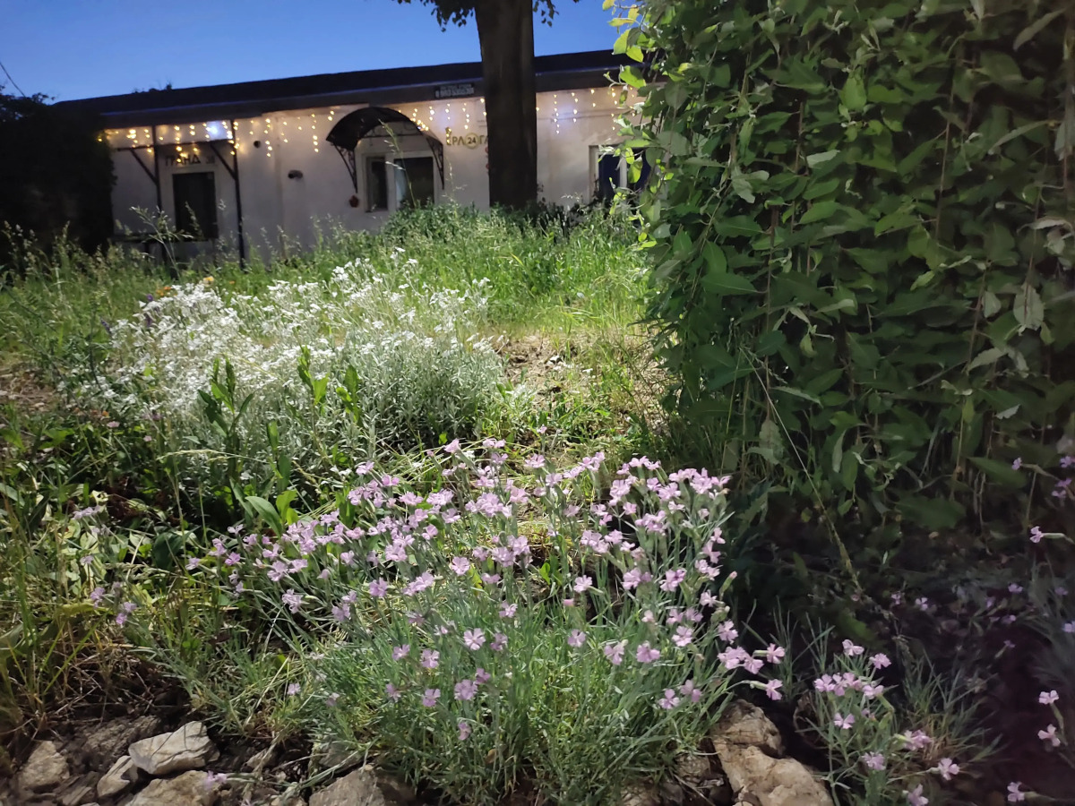 Гостевой дом Берлога