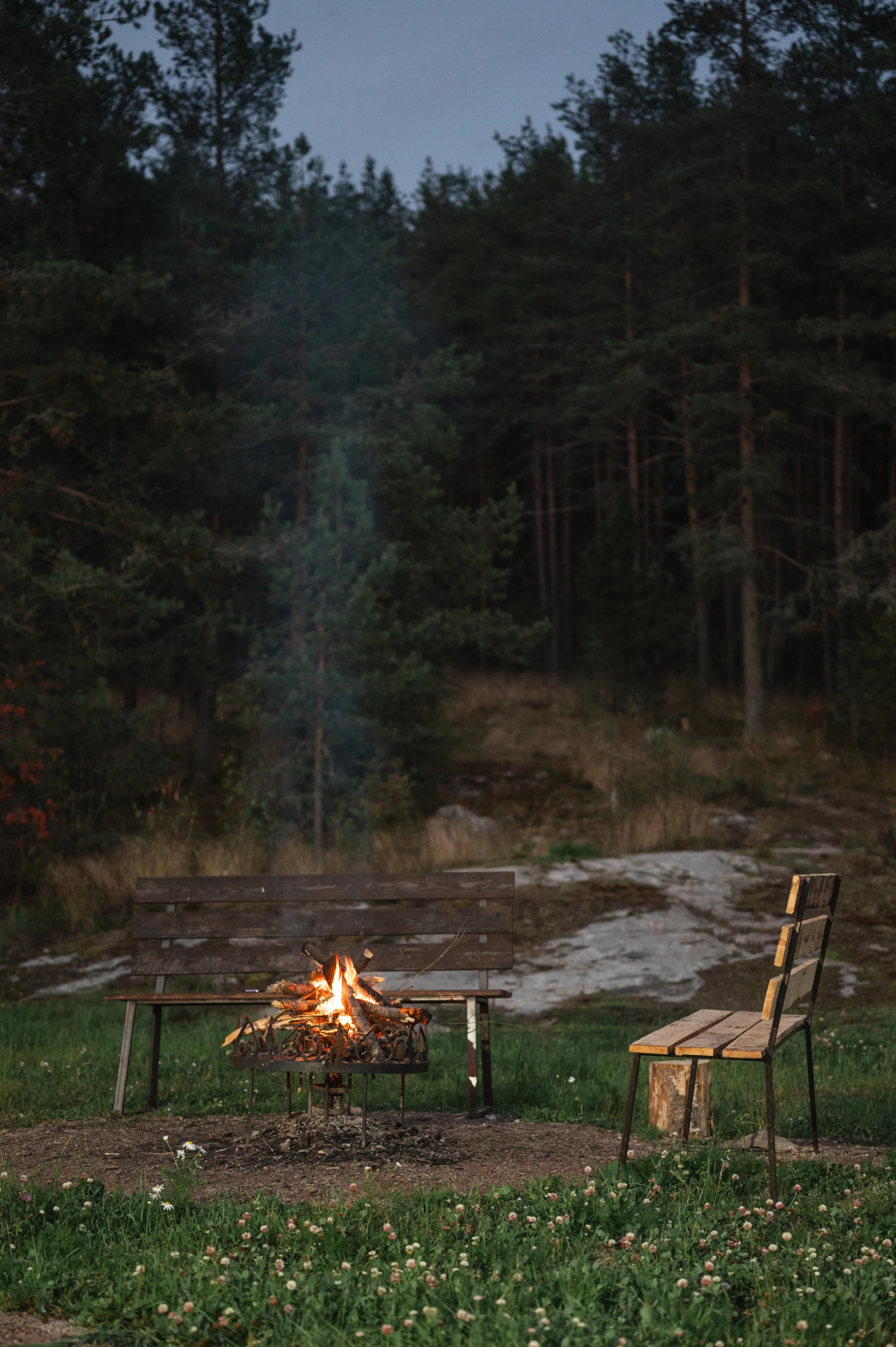 Частный Дом на Границе с Лесом