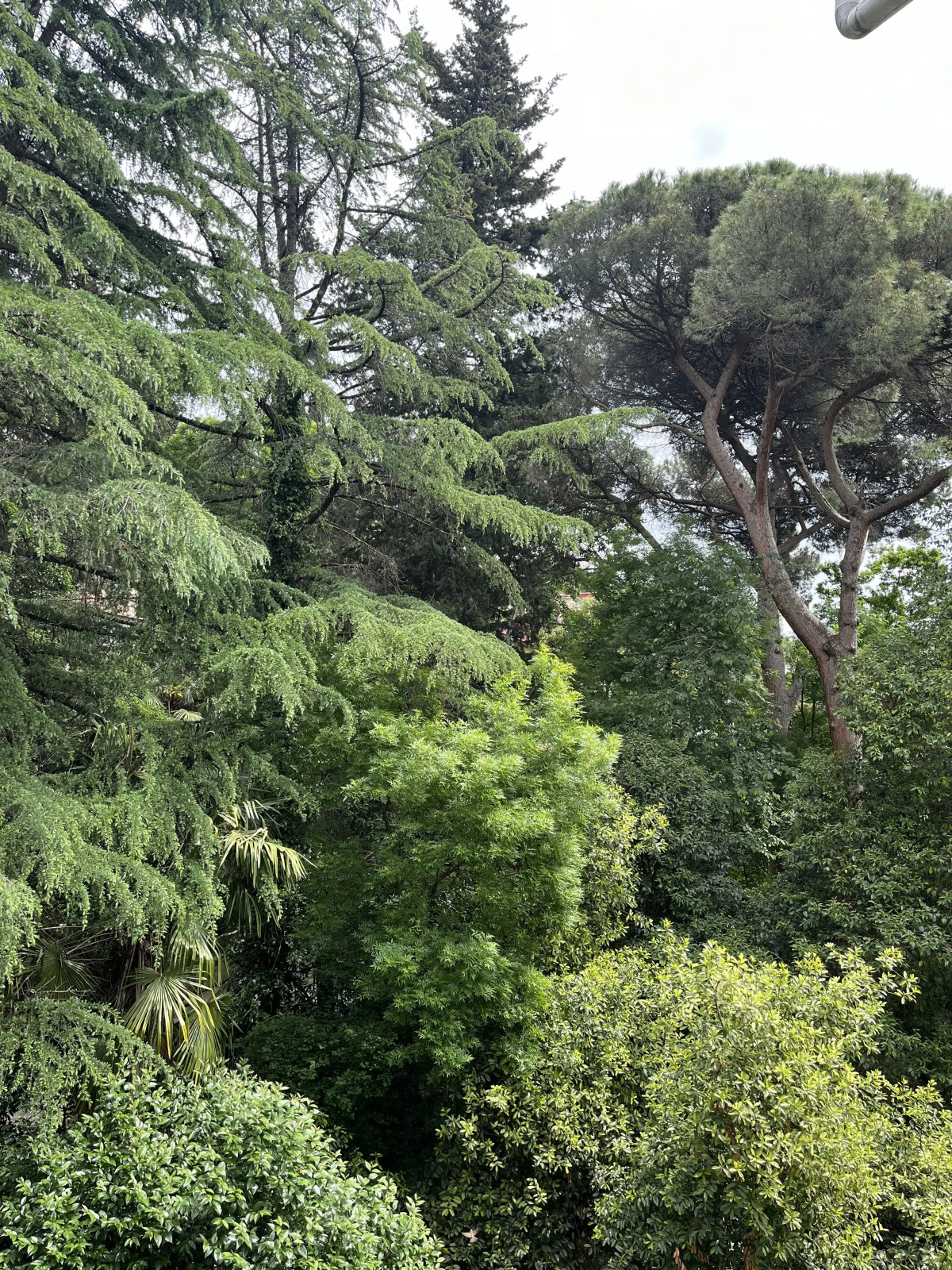 Квартира Уютная в Сочи