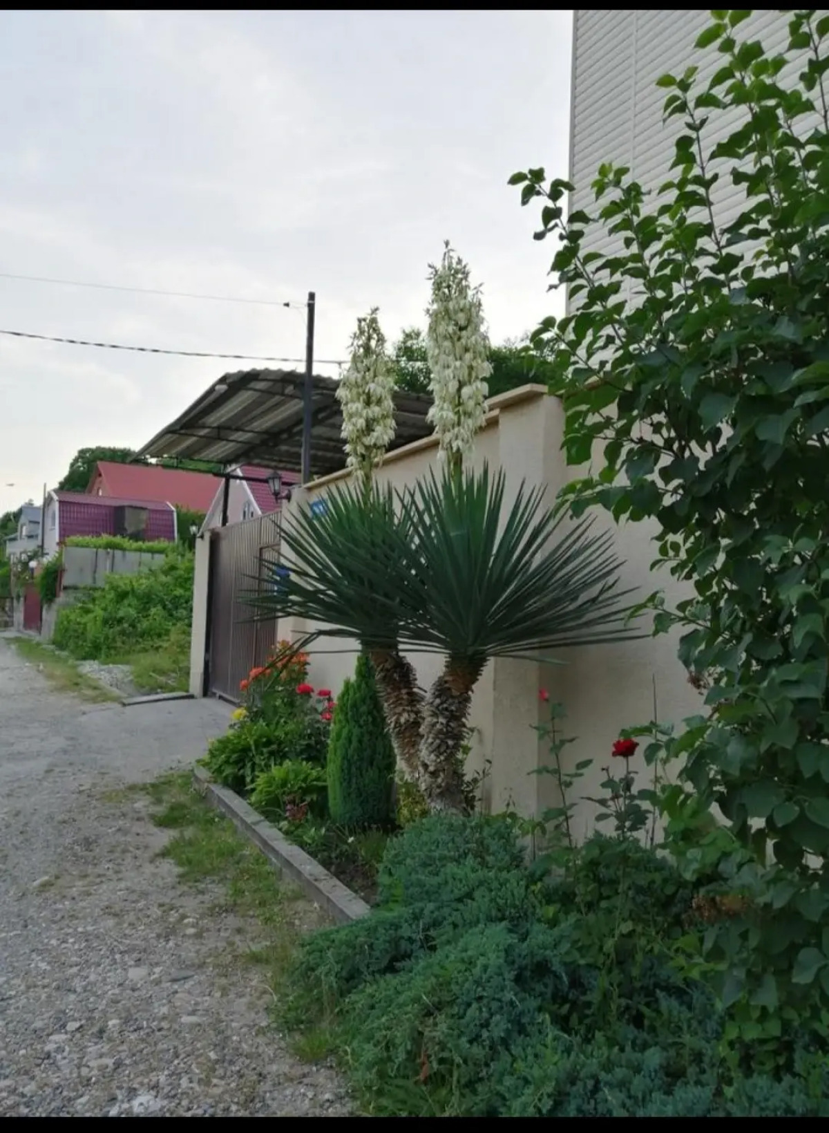 Гостевой дом Ореховый 13 Пляхо