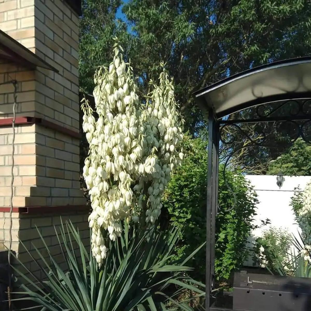 Гостевой Дом Морская 51