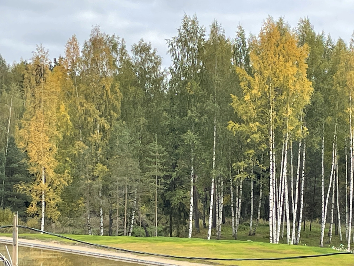 Апартаменты Охта Парк Village Aparts