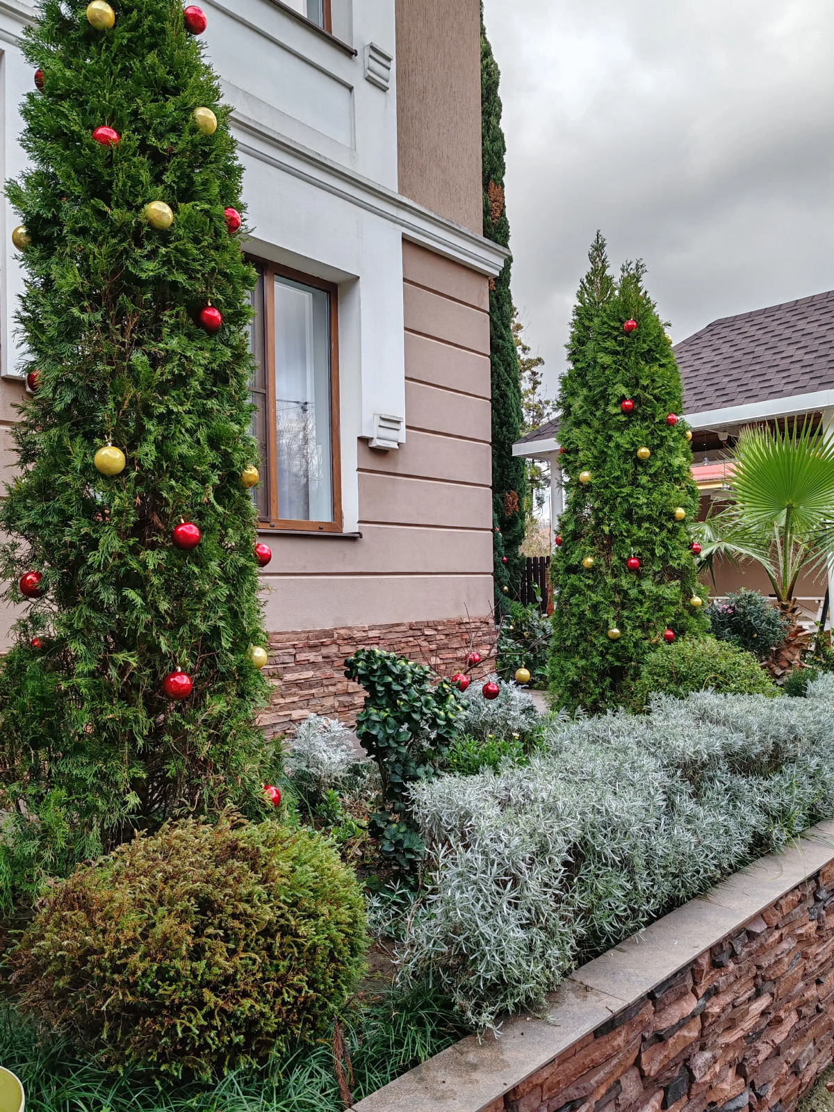 Гостевой дом Мимоза