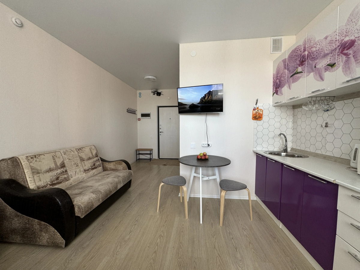 Квартира Студия Логинова 5/2-633