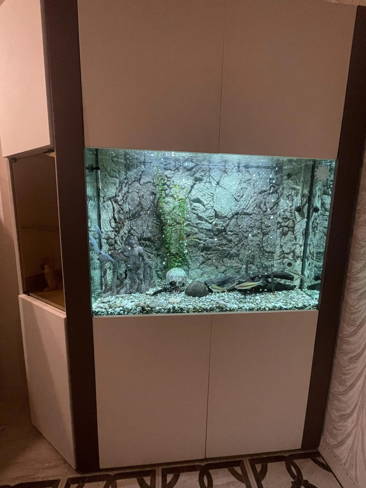 Квартира с 3 спальнями на Парнасе