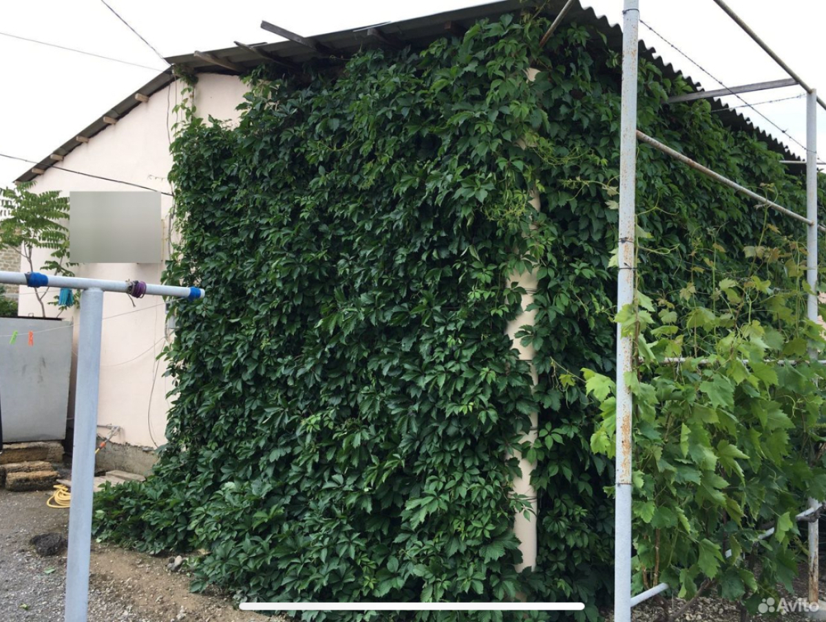 Частный дом Домик без докучливых хозяев