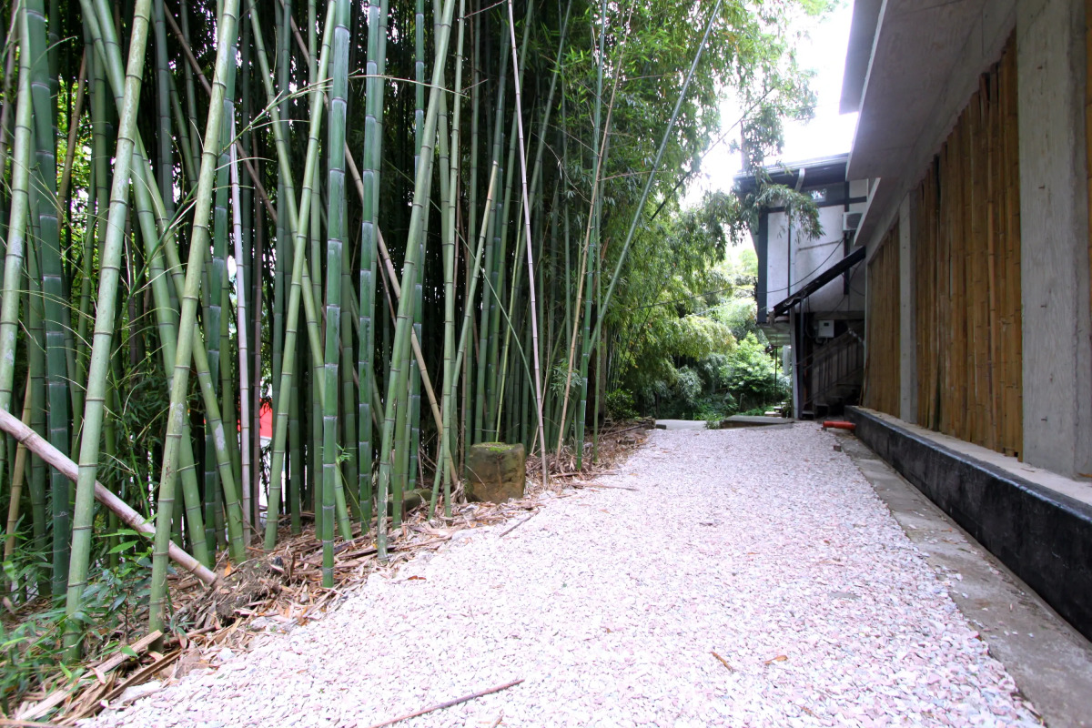 Частный дом Бамбуковая роща