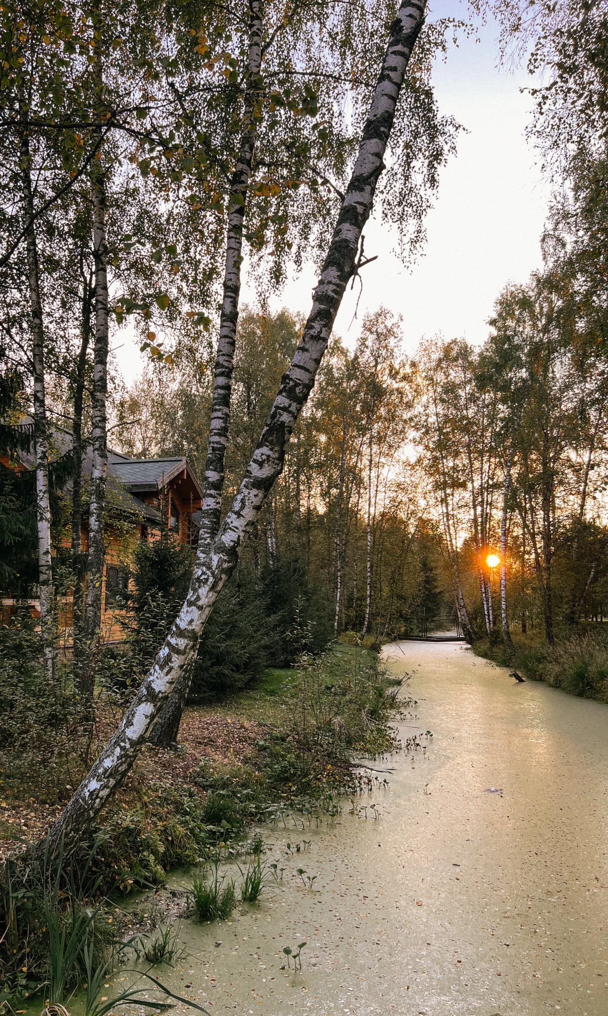 Бисерово Клуб