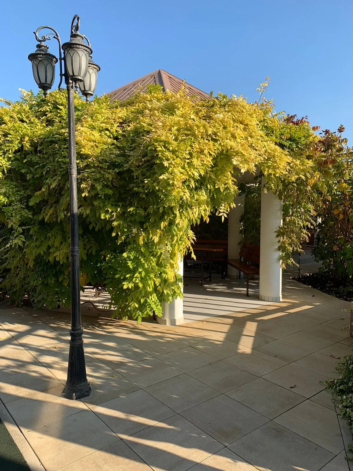 Гостевой дом Biography