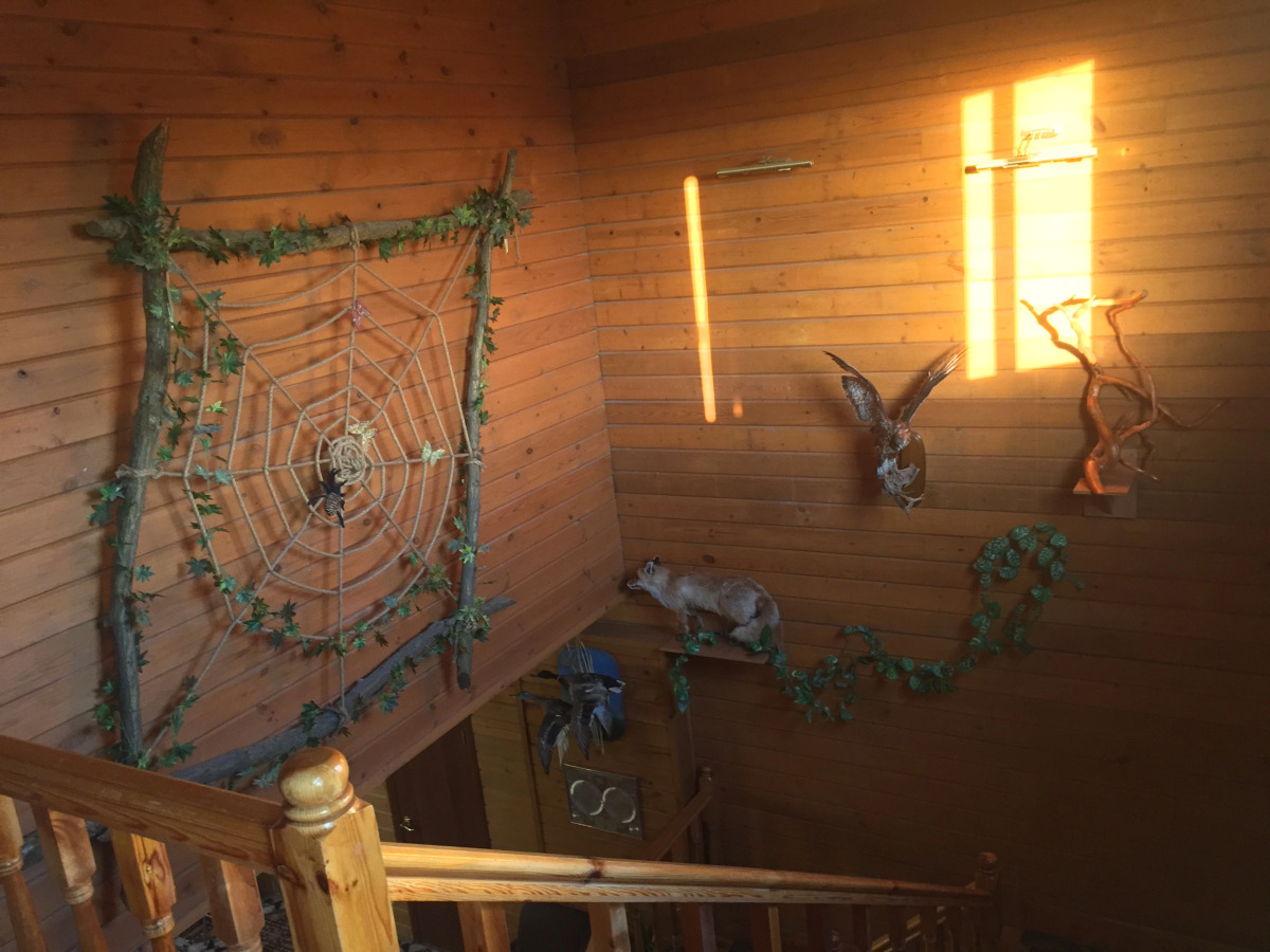 Мини-Отель Колизей