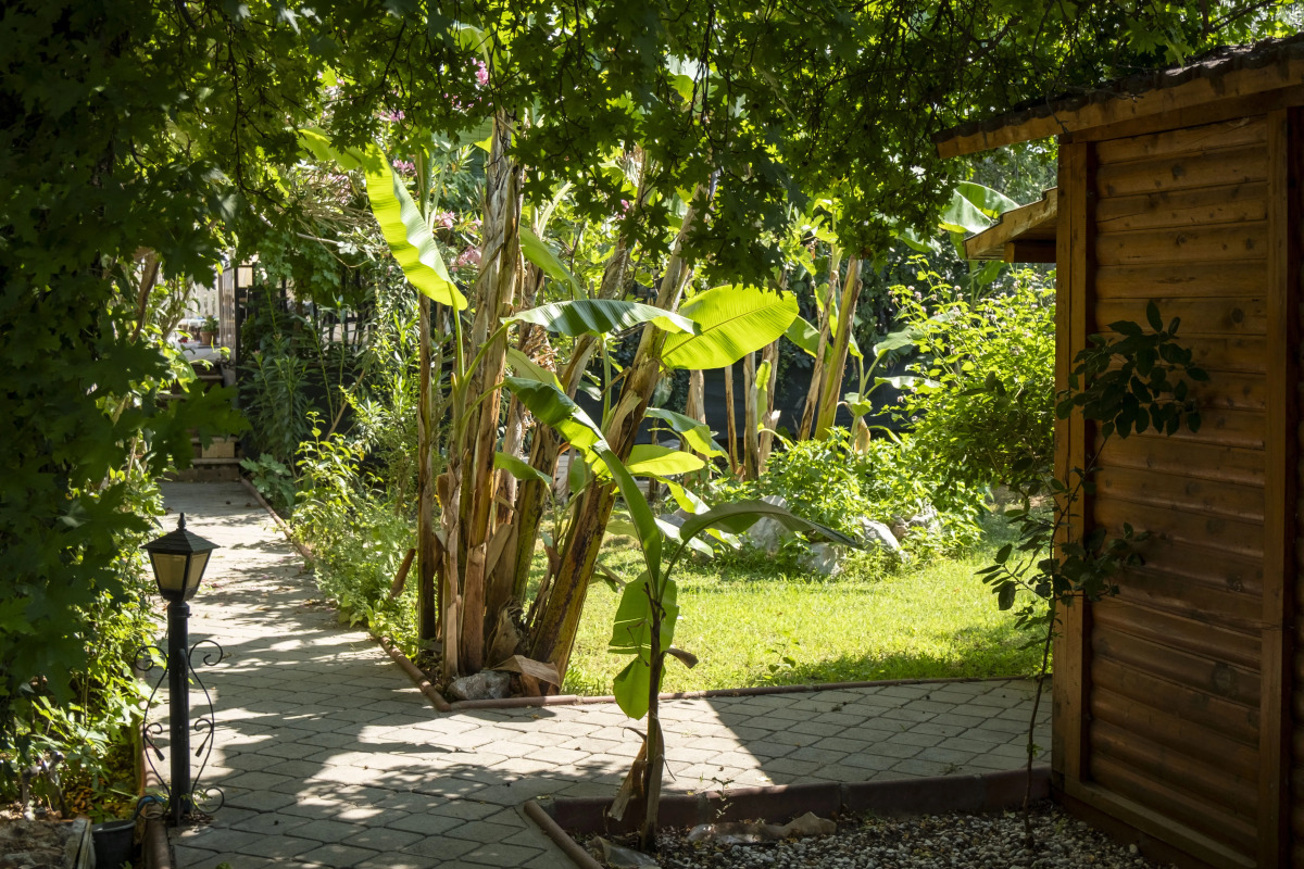 Бутик-отель Gunes Boutique Hotel - Oludeniz