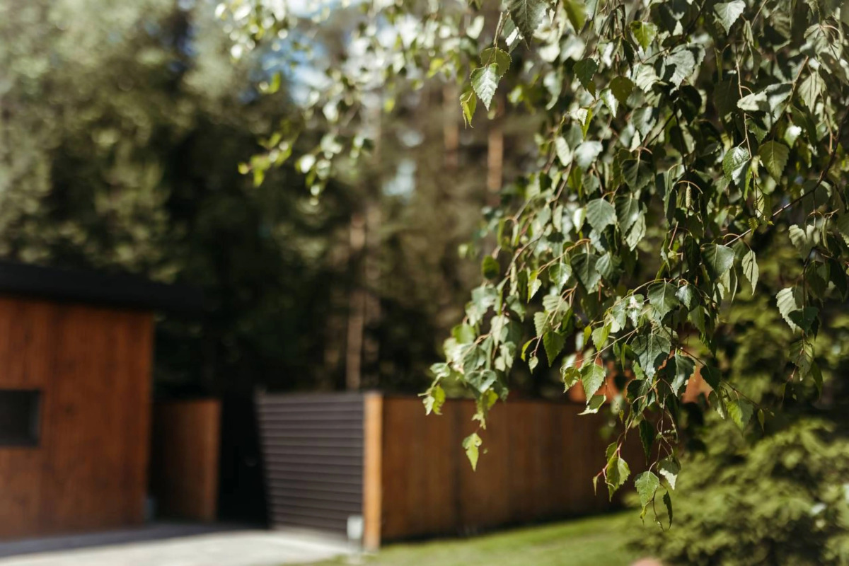 Гостевой дом дом в аренду в Беловежской пуще