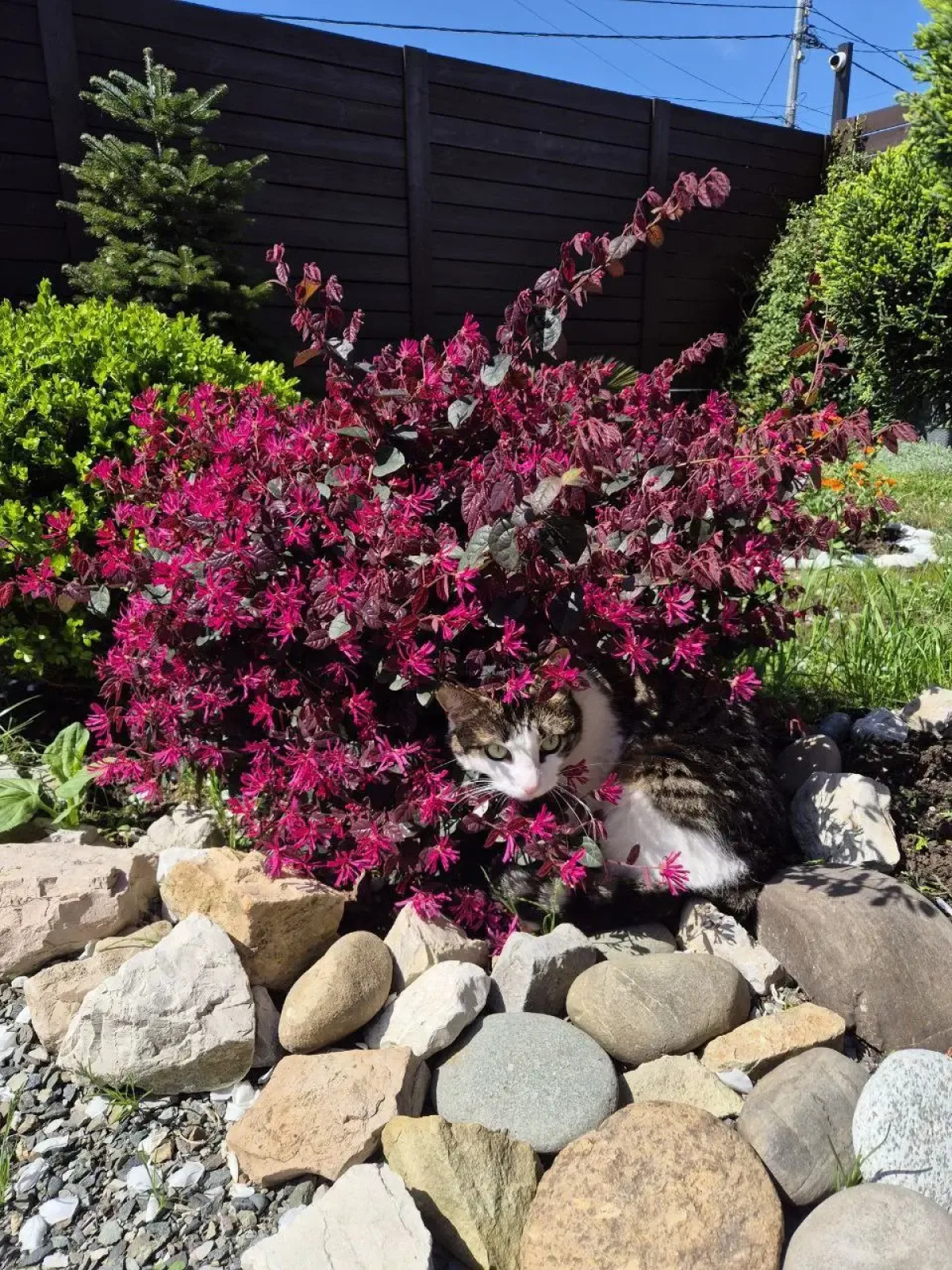 Гостевой дом "Валенсия"