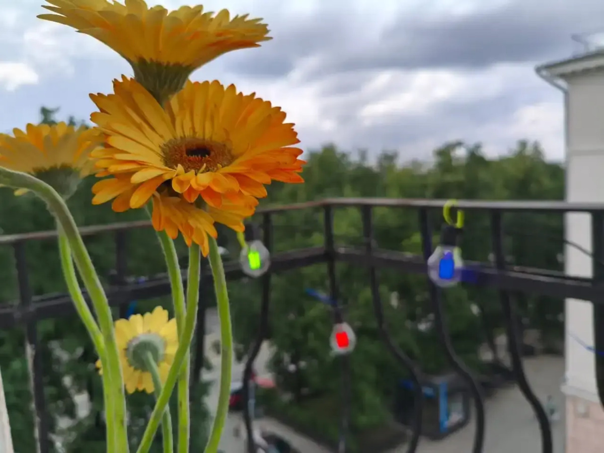 Квартира Ленина 99 -Балкон &Кафе