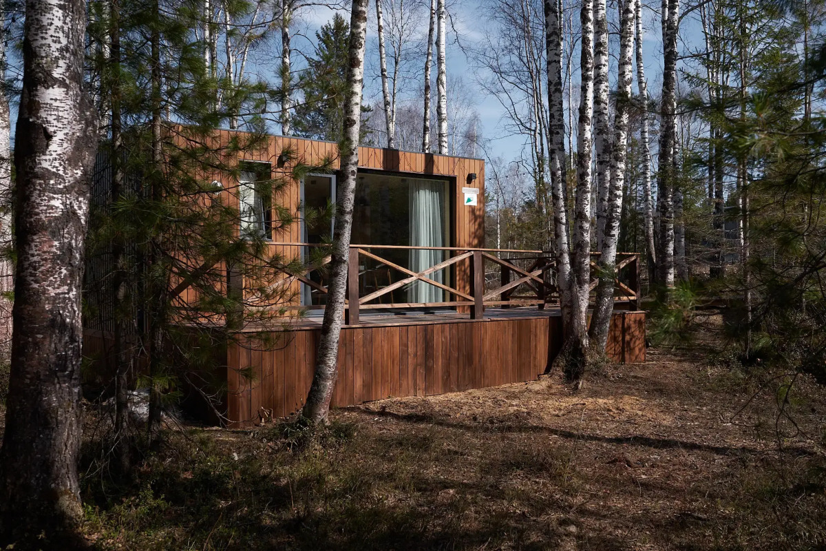 Снежные Гуси в Байкальске