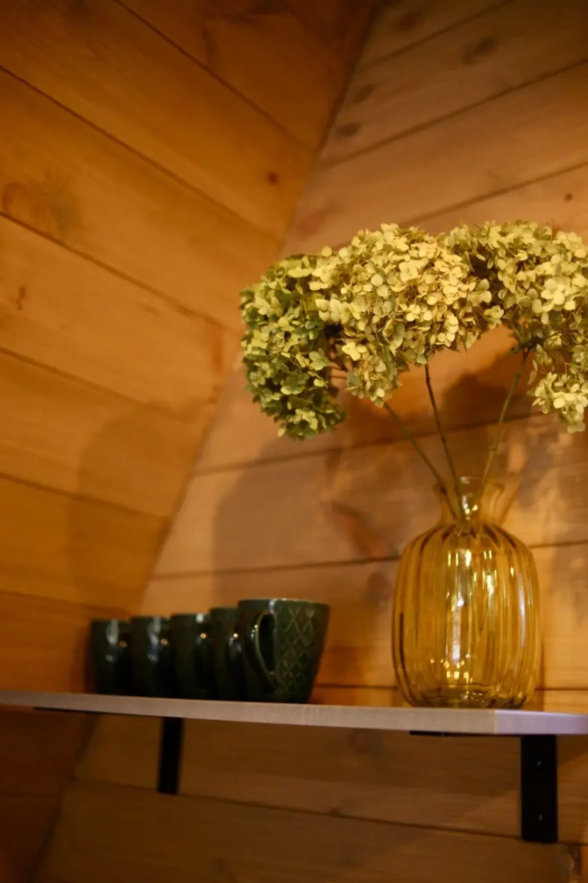 База отдыха Робин Гуд