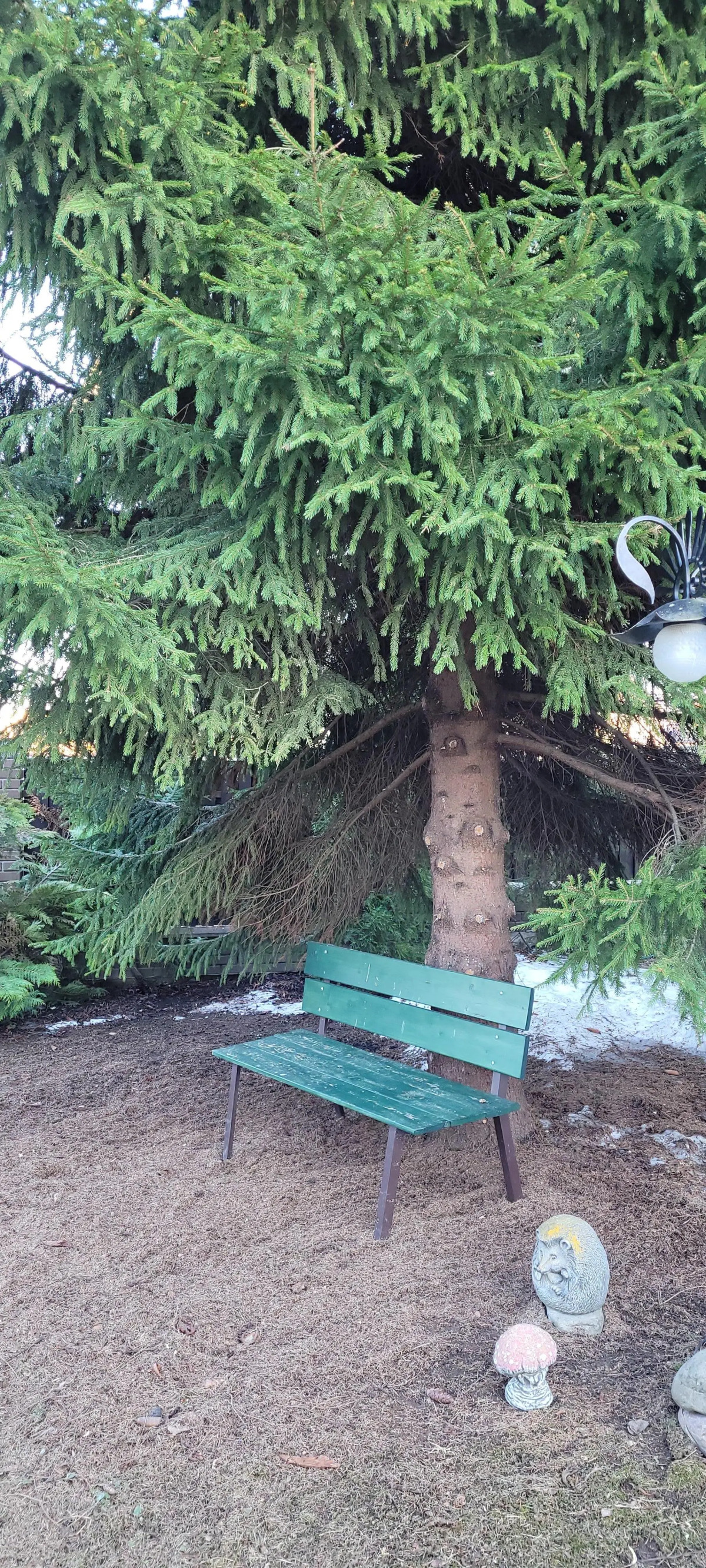 Частный Дом с Сауной и Беседкой