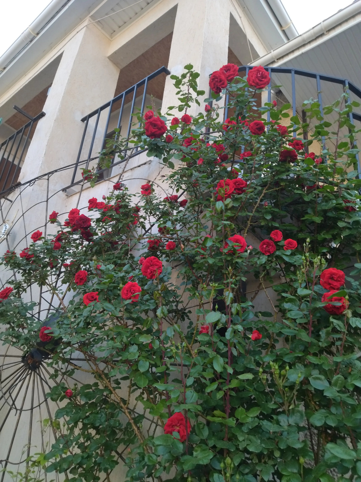 Гостевой Дом Елена