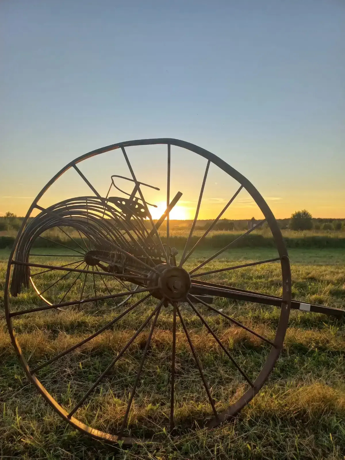 Гостевой дом Первая лошадь