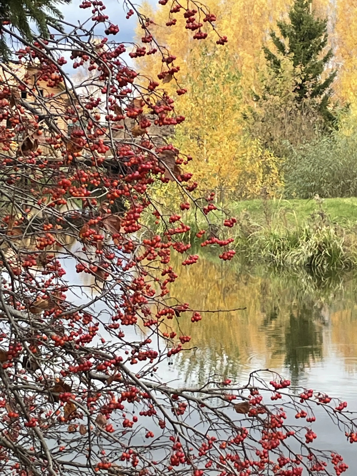 Гостевой дом Моя Провинция