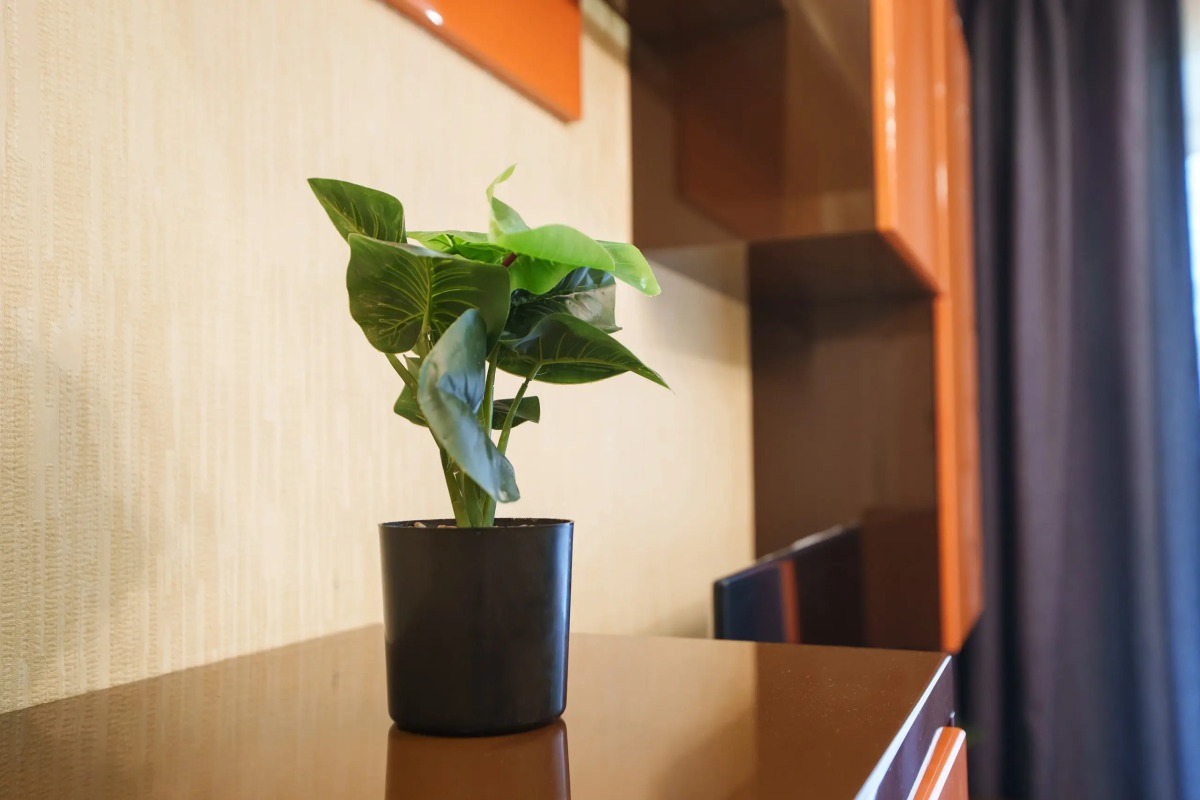 Квартира Inndays Apartments на Староникитская 105б (2)