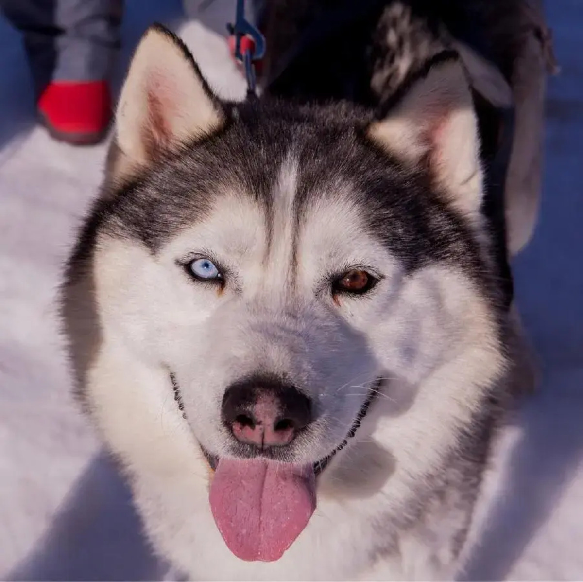 Отель Загородный клуб