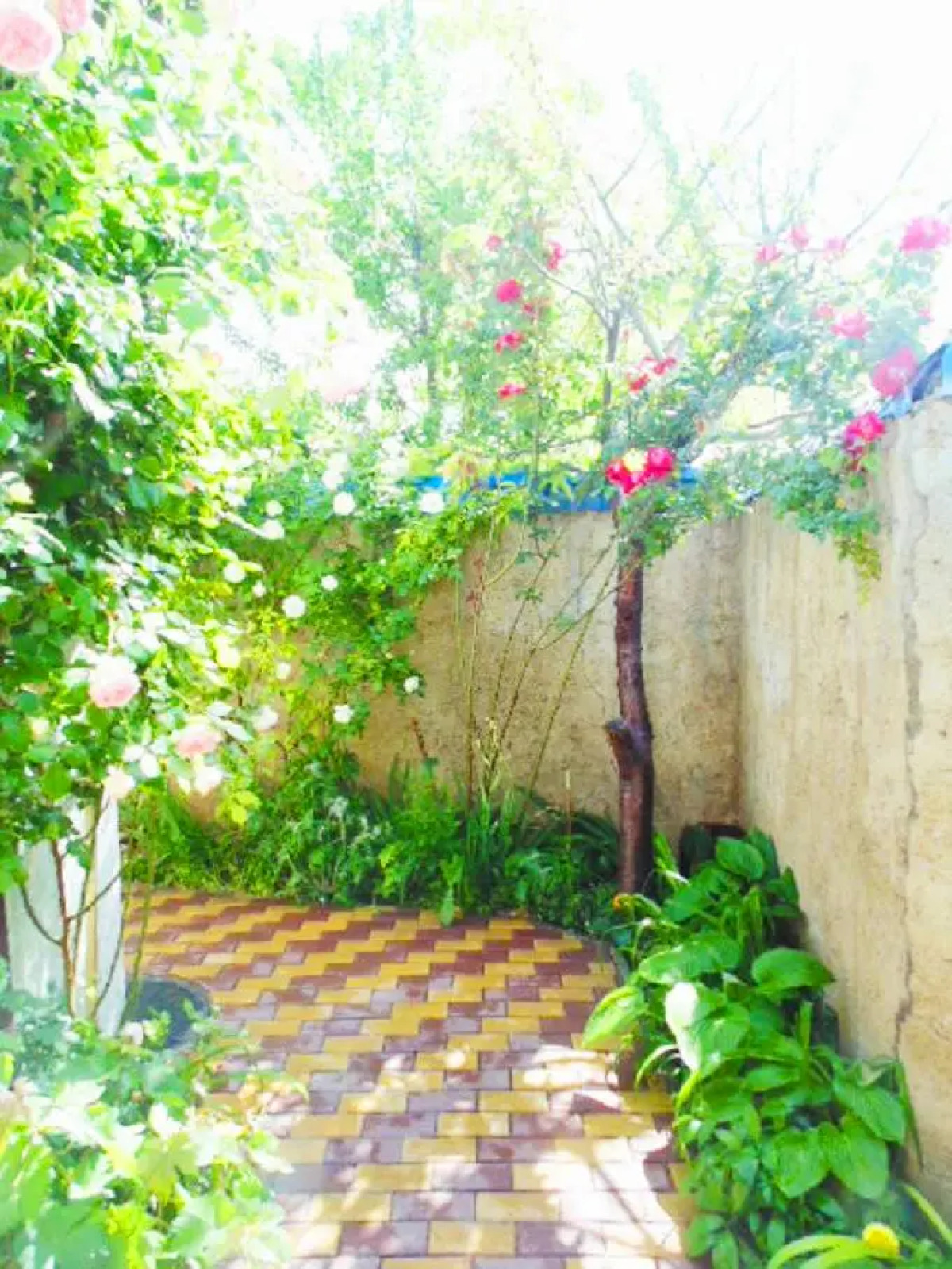 Апартаменты 2 минуты пешком от набережной Терешковой