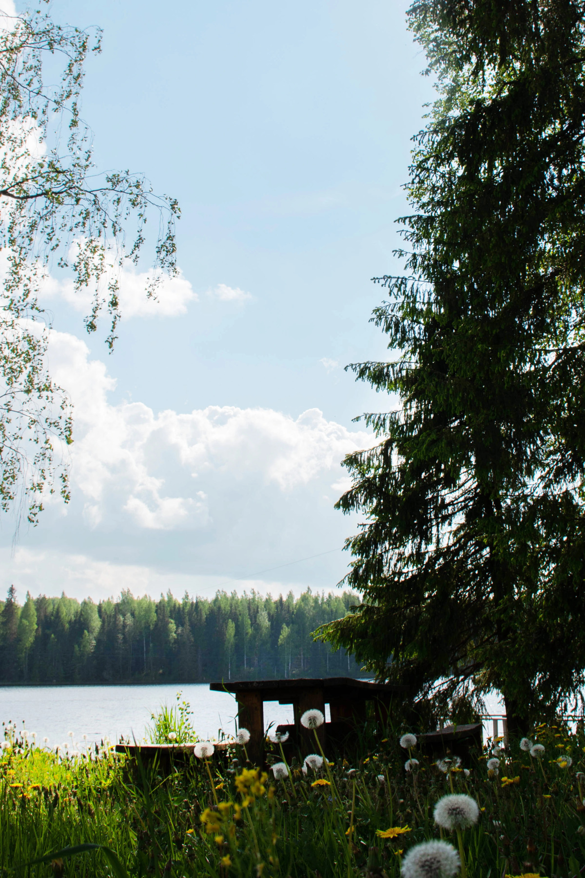 Коттедж Новгородская Деревня