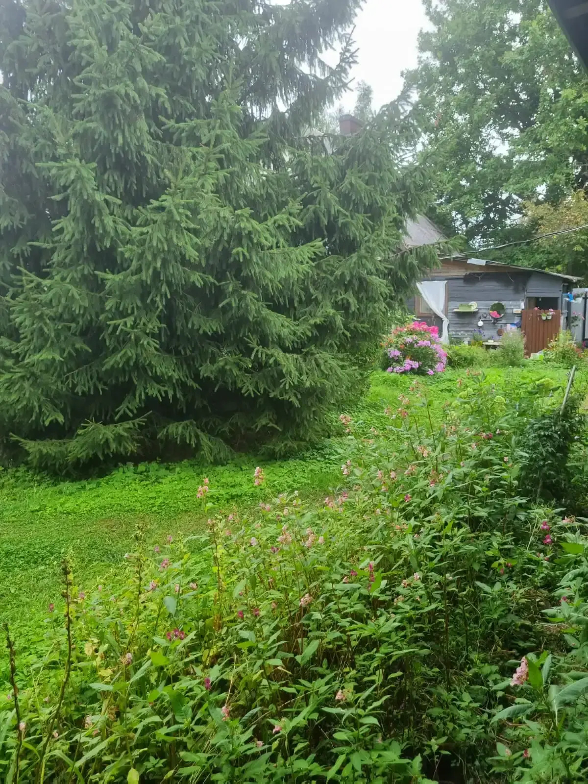 Частный Дом Олта