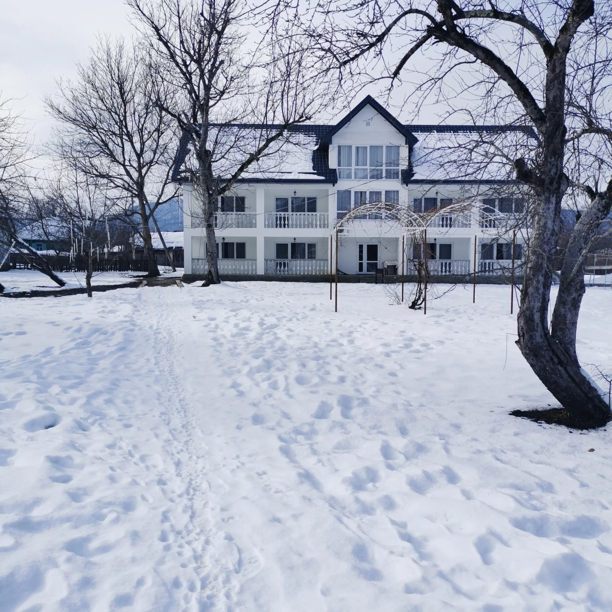 Гостевой дом Большой гостевой дом Ореховая роща