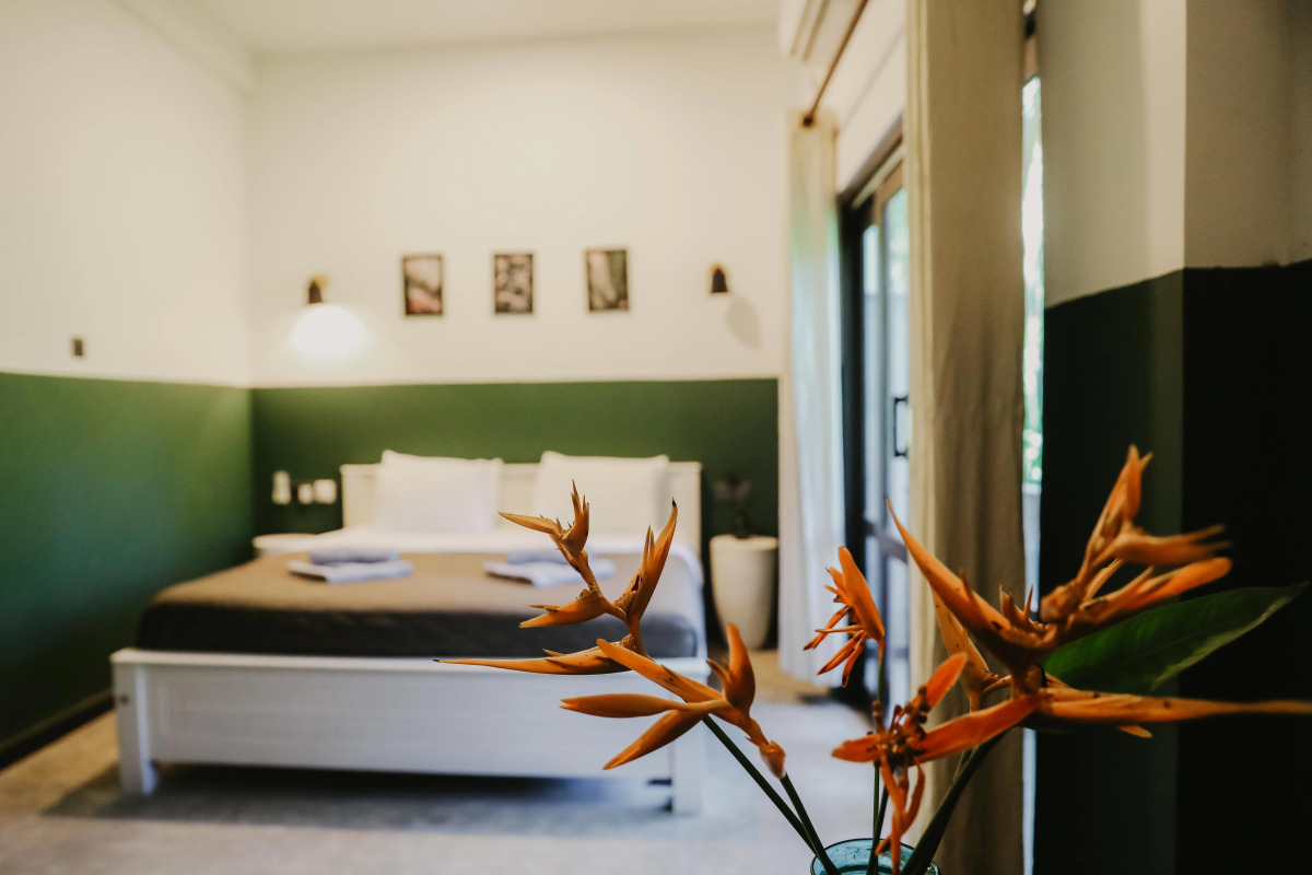 Отель Jungle Soul