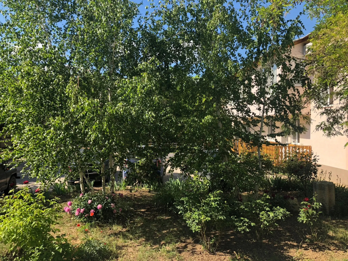 Отель Пчела