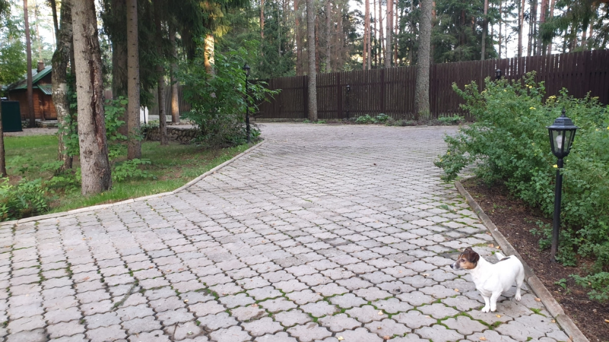 Мини-отель Wish