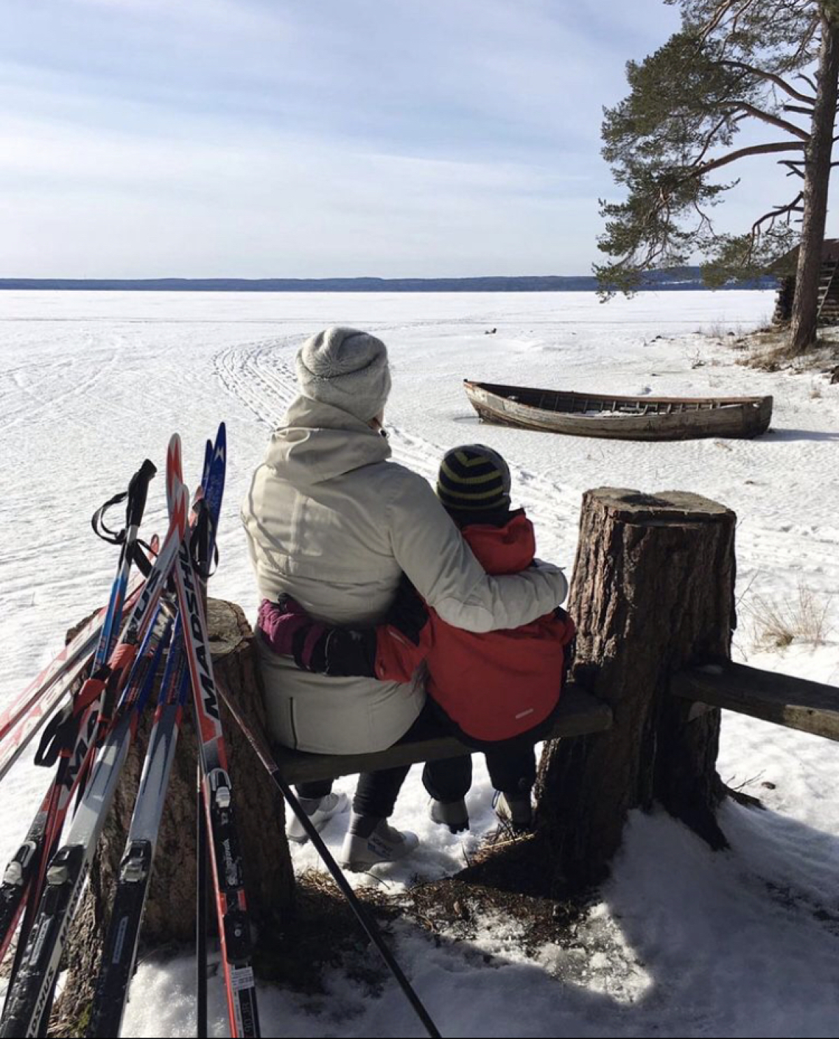 Дом ВИЛЛА в КАРЕЛИИ 1