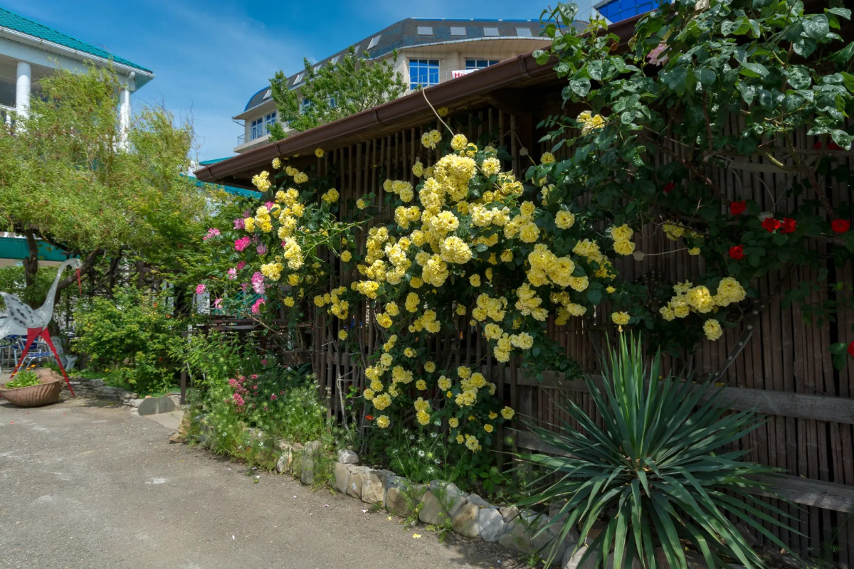 Курортный отель Лазурный берег