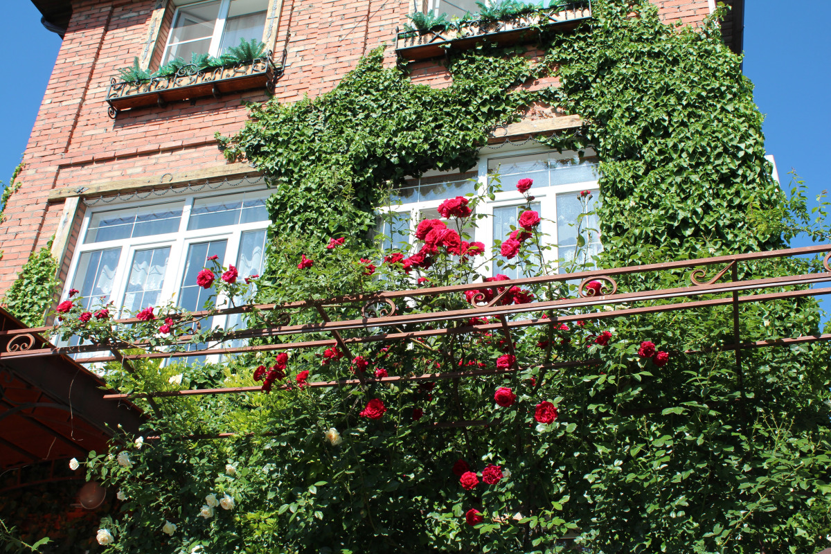 Гостевой дом У Друзей